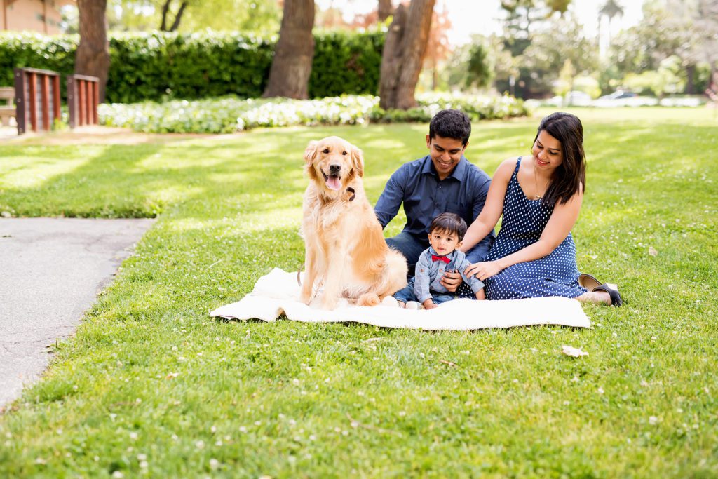 family portraits in Mountain View