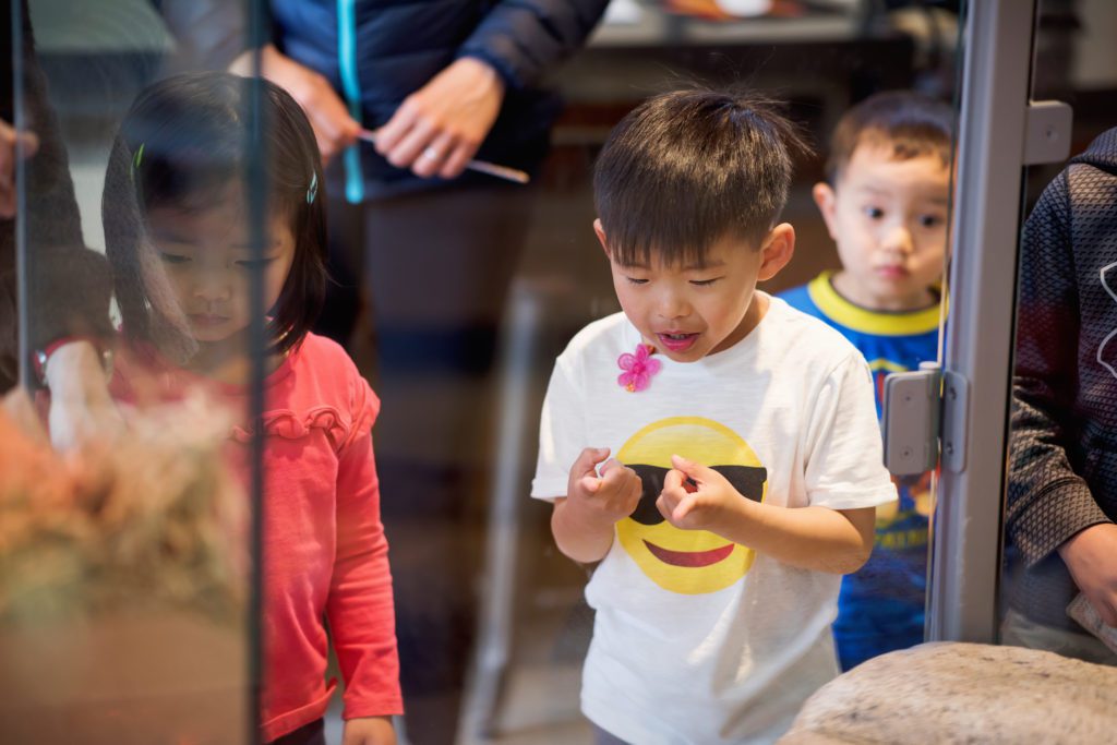 birthday party at the Randall Museum