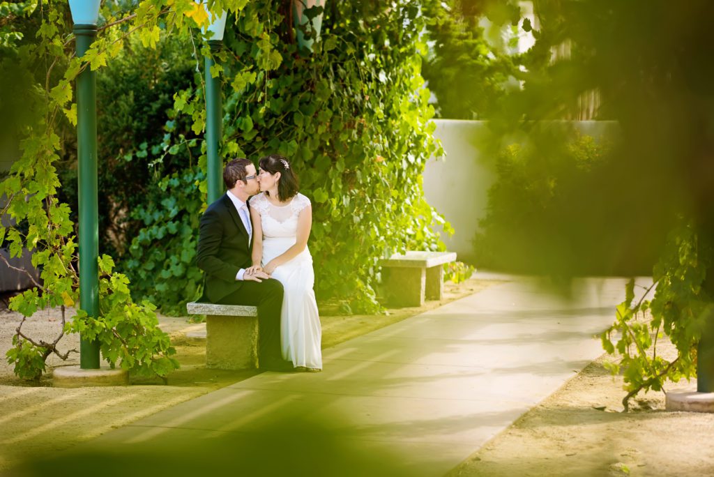 wedding at the santa clara county clerks office