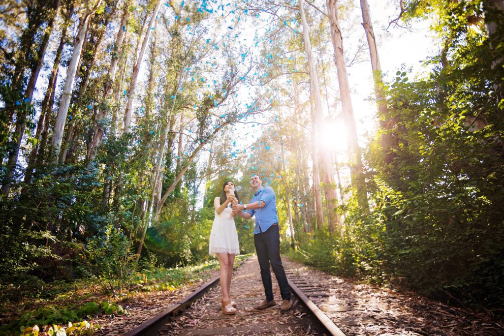 pregnancy announcement portraits