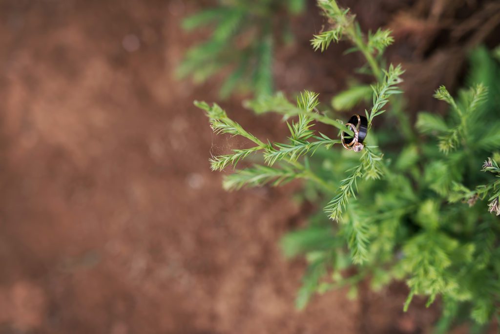 wedding photography in San Martin