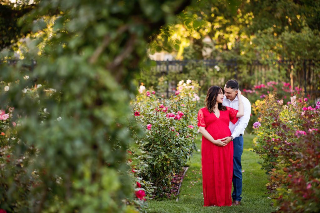 maternity portraits at the Rose Garden