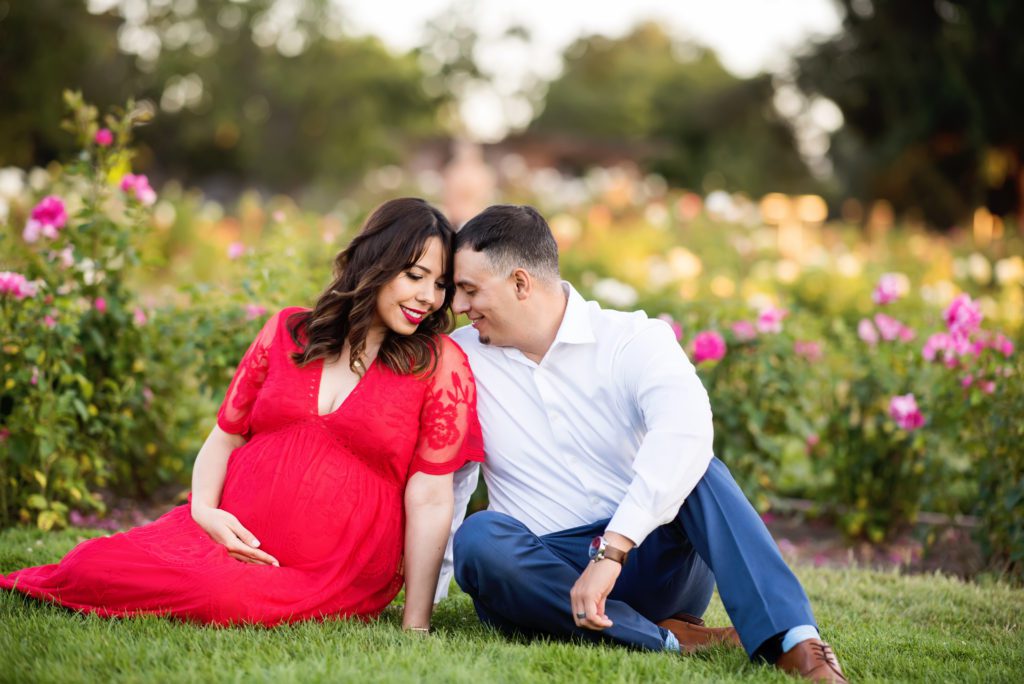 maternity portraits at the Rose Garden