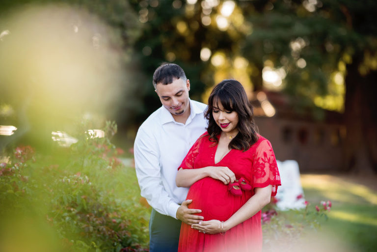 maternity portraits at the Rose Garden