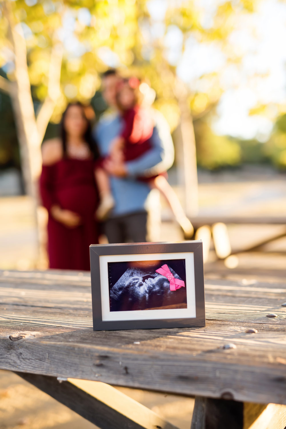 maternity photo shoot at hellyer park