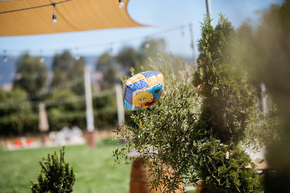 sesame street themed 1st birthday photos