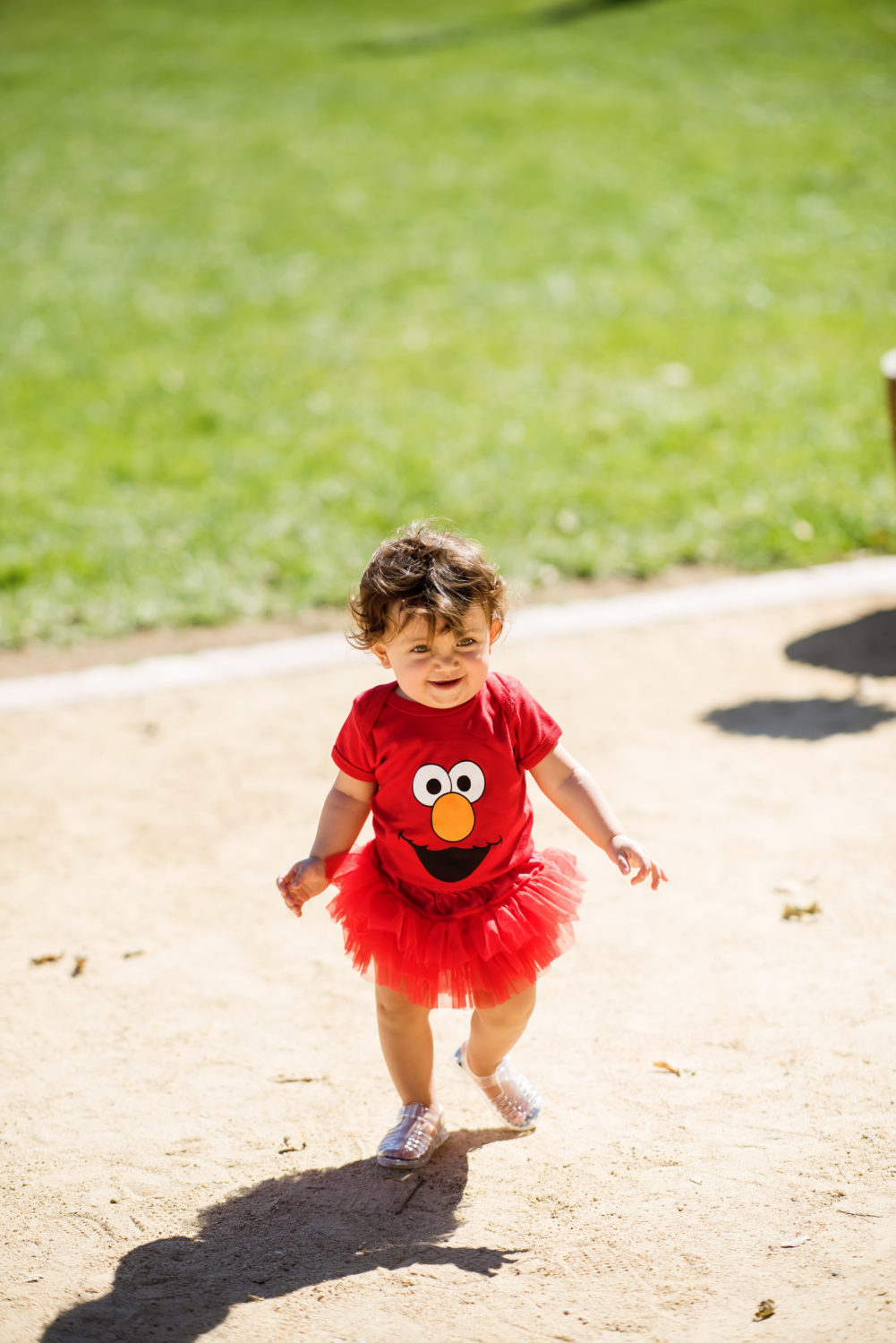 sesame street themed 1st birthday photos