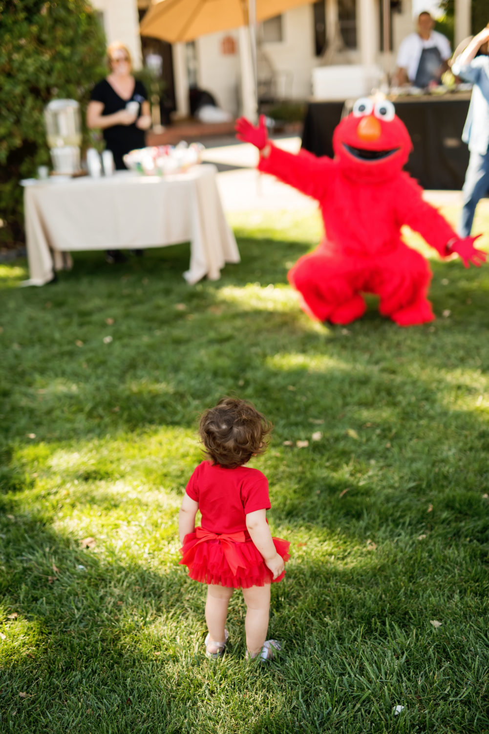 sesame street themed 1st birthday photos