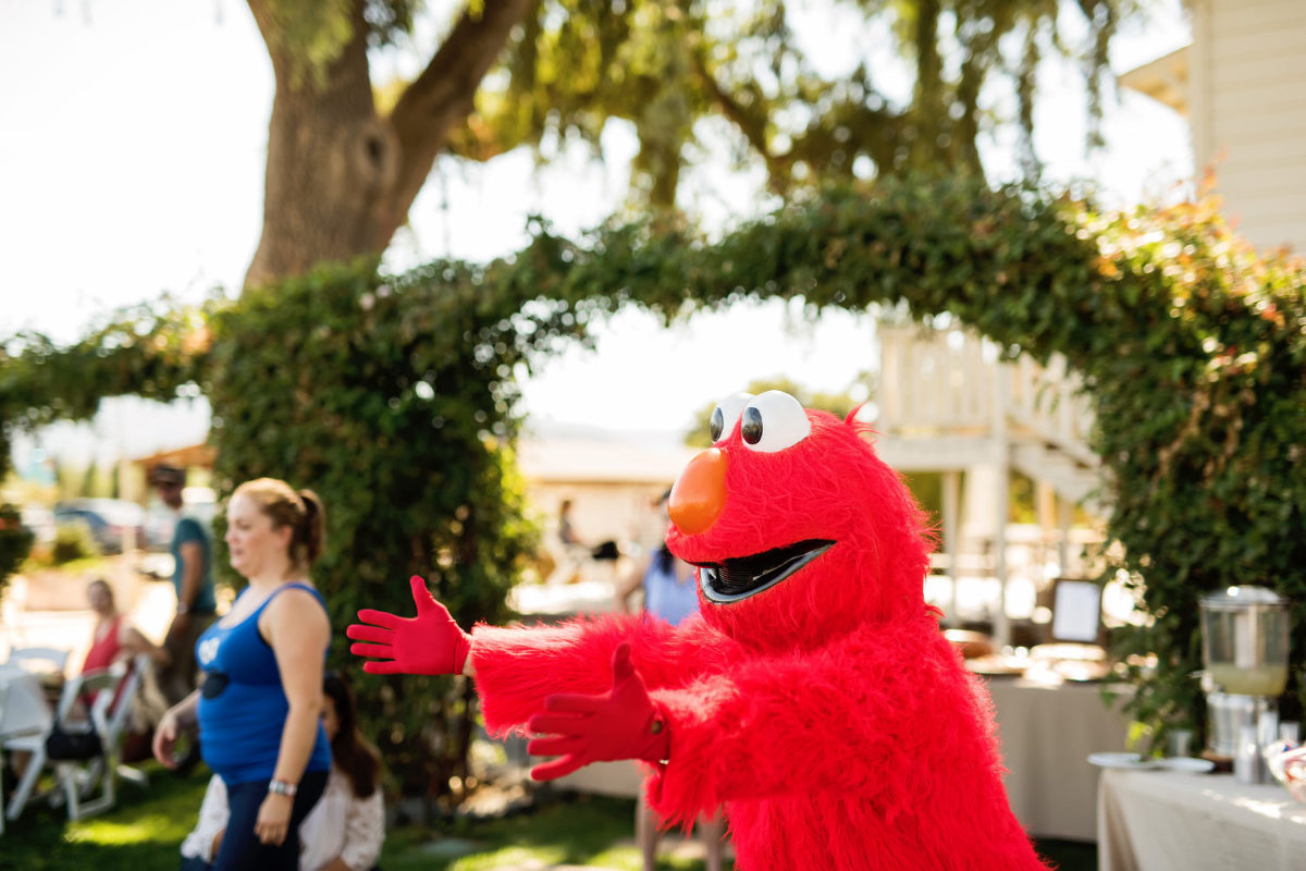 sesame street themed 1st birthday photos