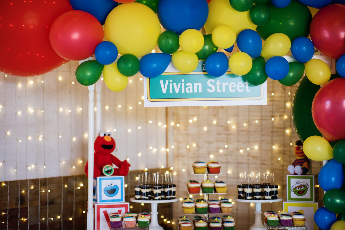 sesame street themed 1st birthday photos