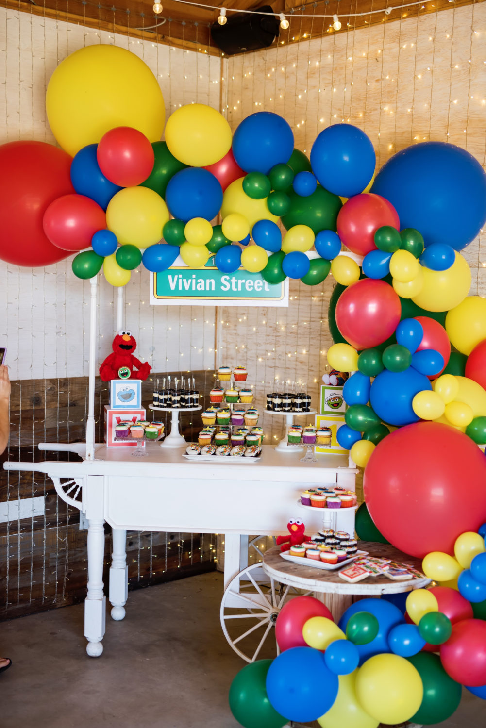 sesame street themed 1st birthday photos