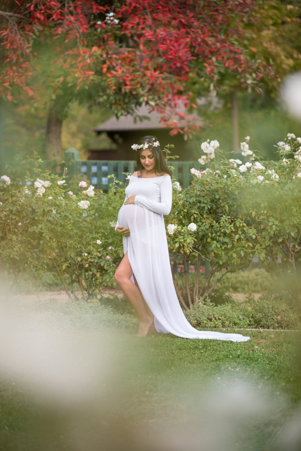 maternity pictures in palo alto