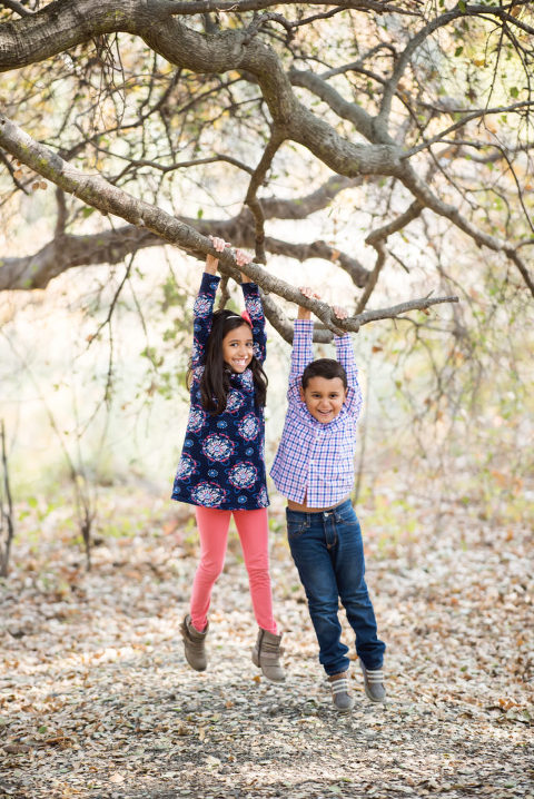 holiday portraits in morgan hill