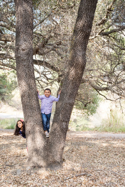 holiday portraits in morgan hill