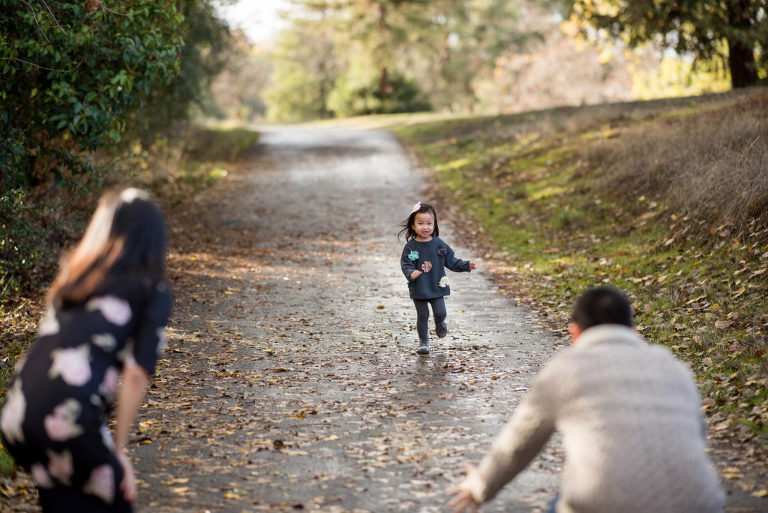 Holiday Pictures at Hellyer Park