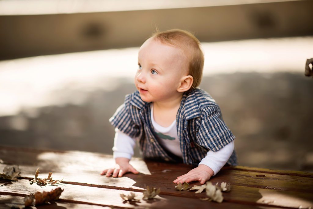 fun family portraits at san jose state