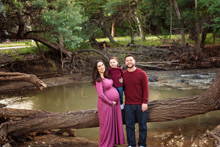 tips for taking maternity portraits with kids