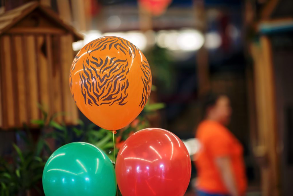 Children's Birthday Party Venues In Sunnyvale