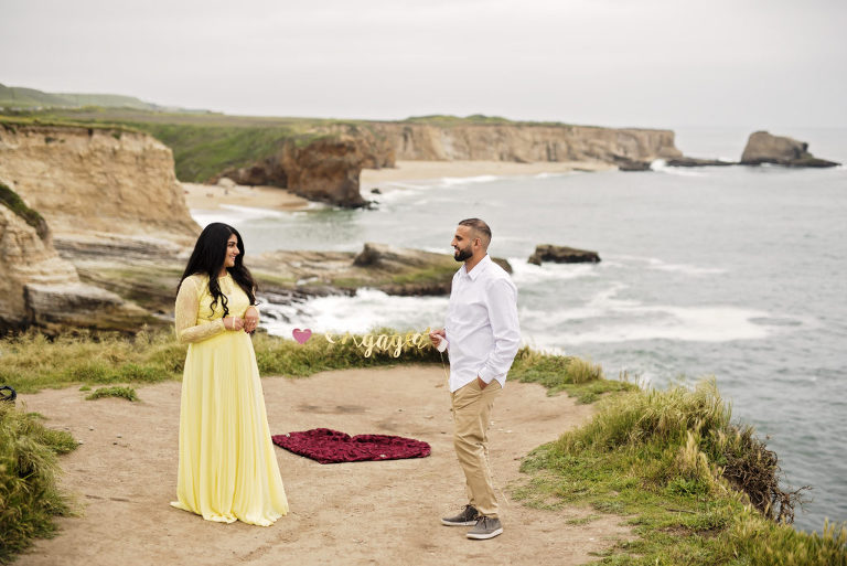 engagement proposal in santa cruz