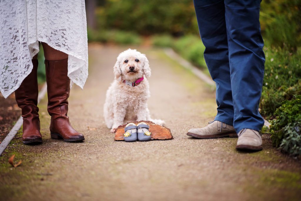 beautiful maternity portraits