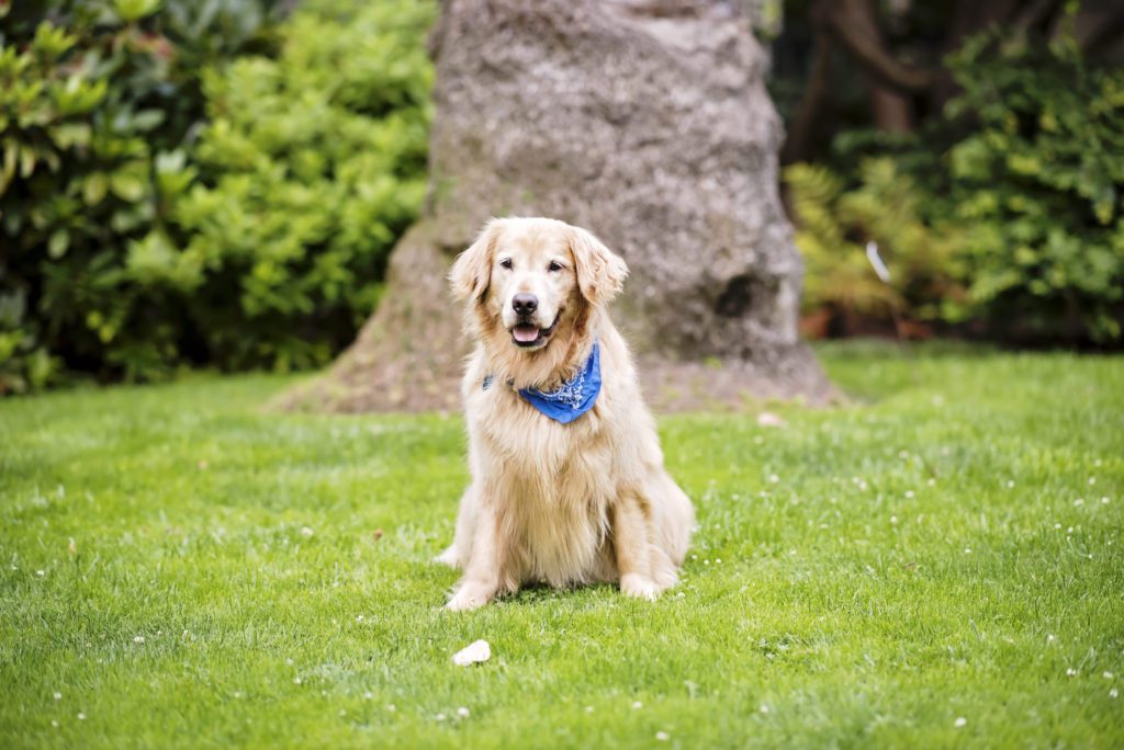 fun family photos in palo alto