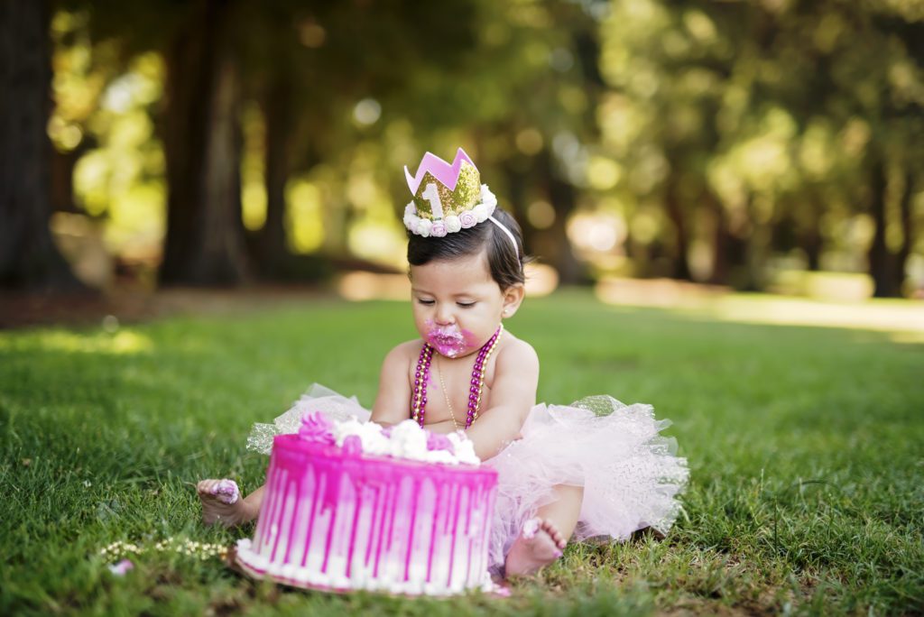what are cake smash portraits