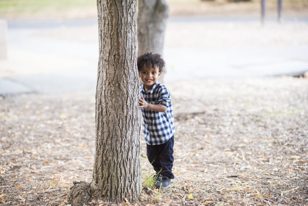 what are photography mini sessions?