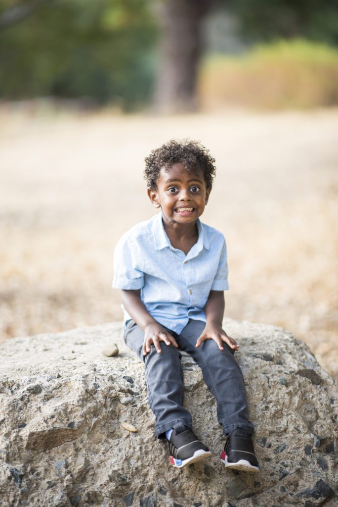 what are photography mini sessions?