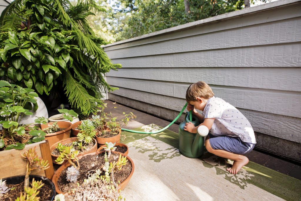 in home family portraits in santa cruz