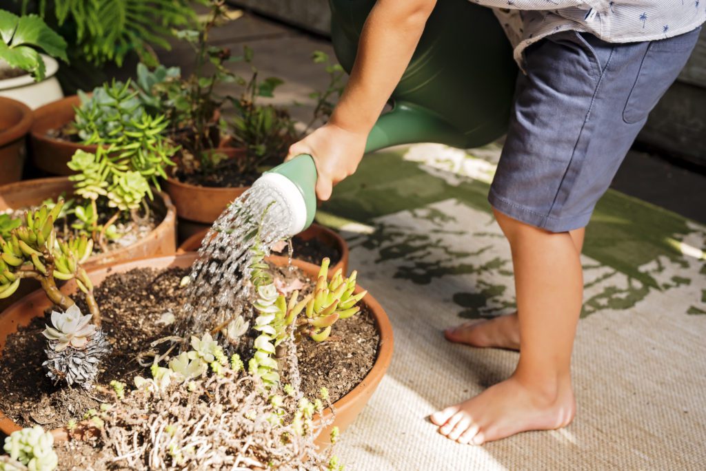 in home family portraits in santa cruz