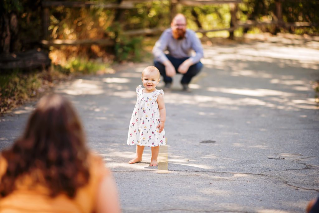 family portrait locations in los gatos