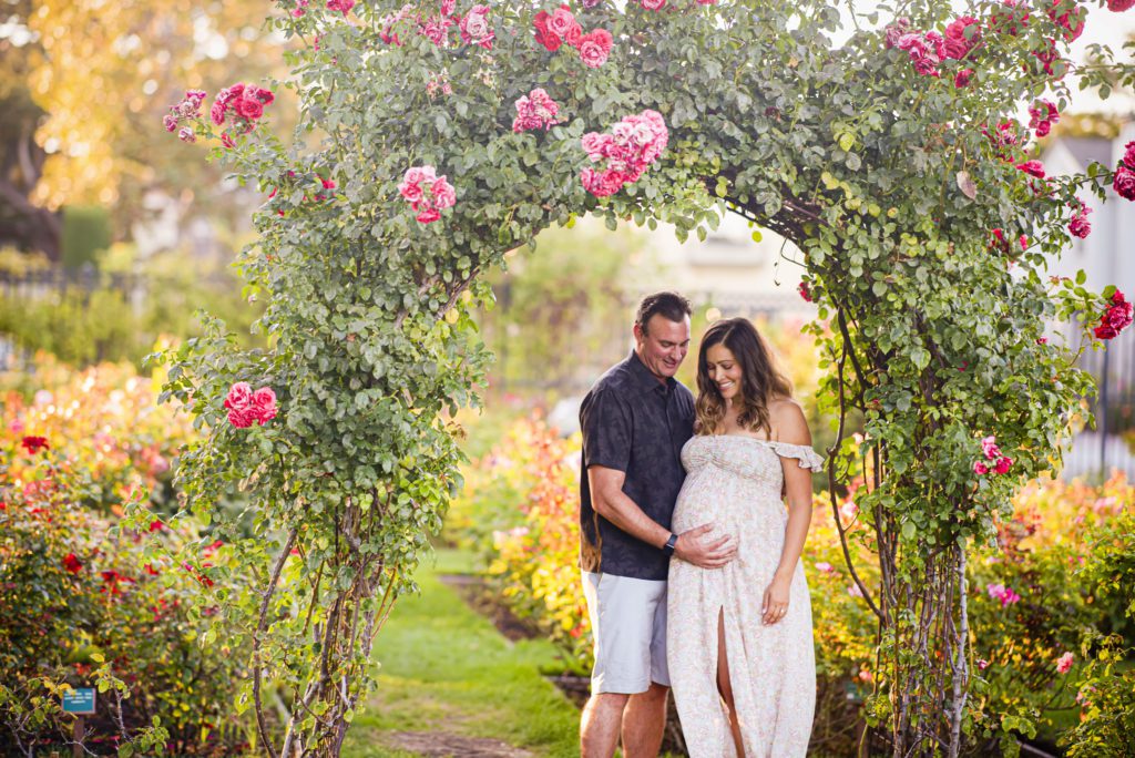 Maternity portraits at the municipal rose garden