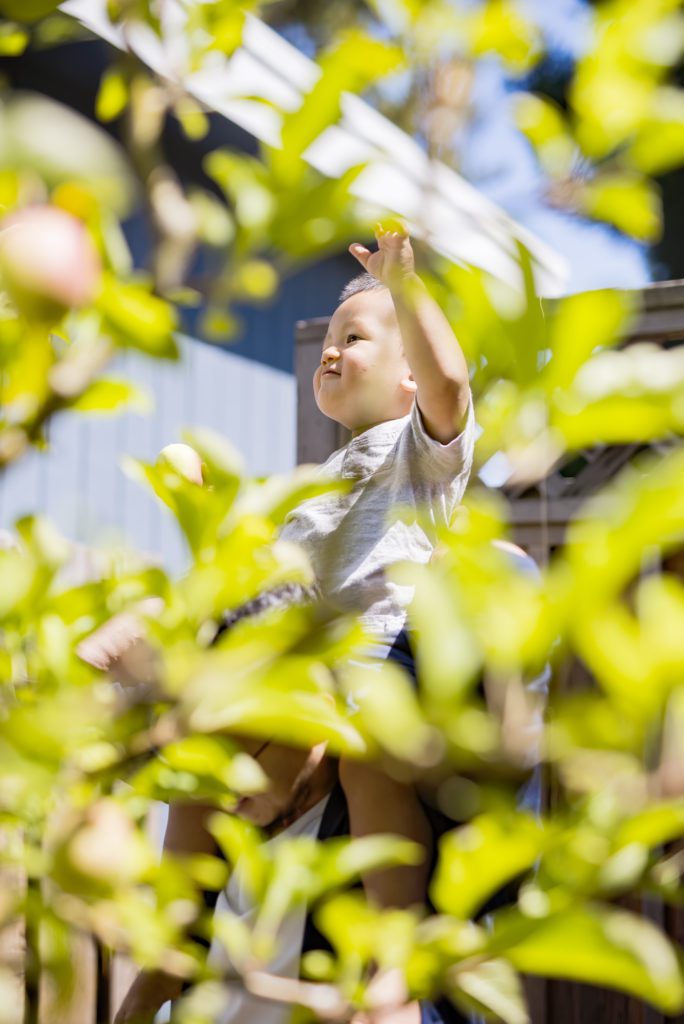 In Home Family Portraits In San Leandro