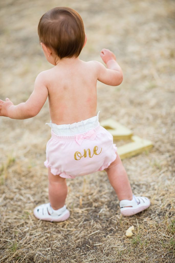 cake smash portraits in san jose