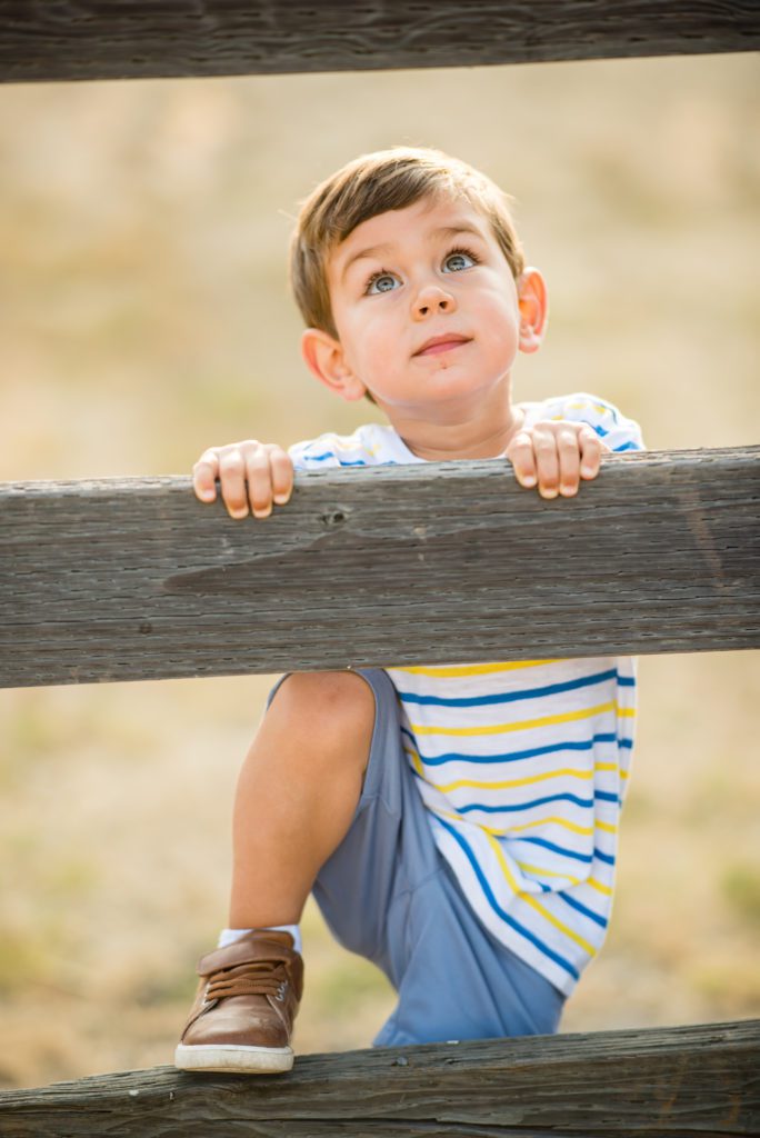 cake smash portraits in san jose