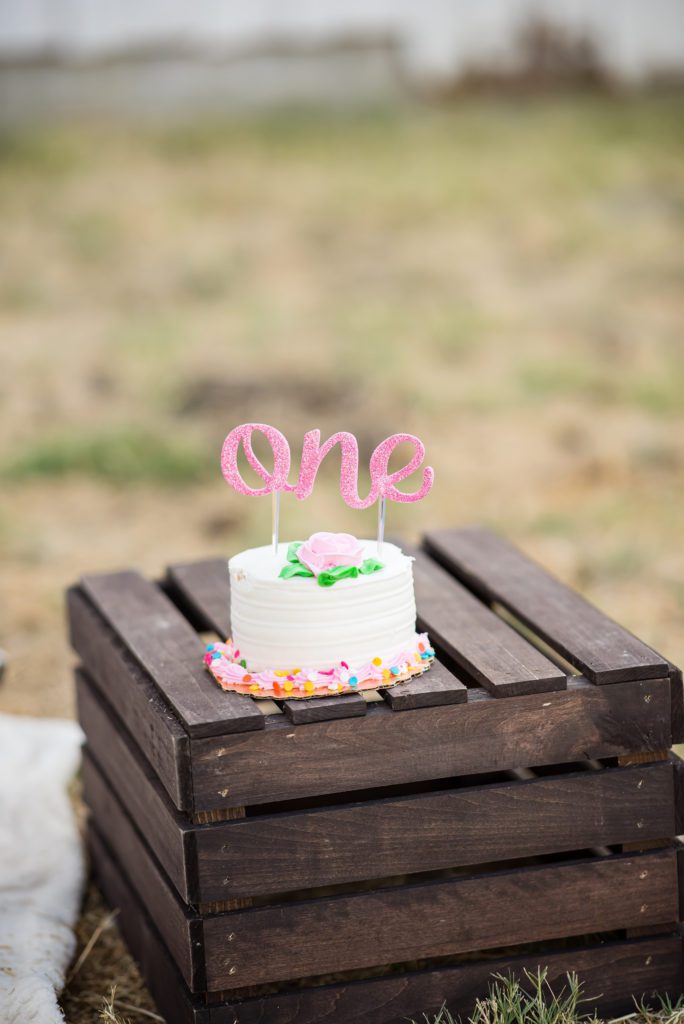 cake smash portraits in san jose