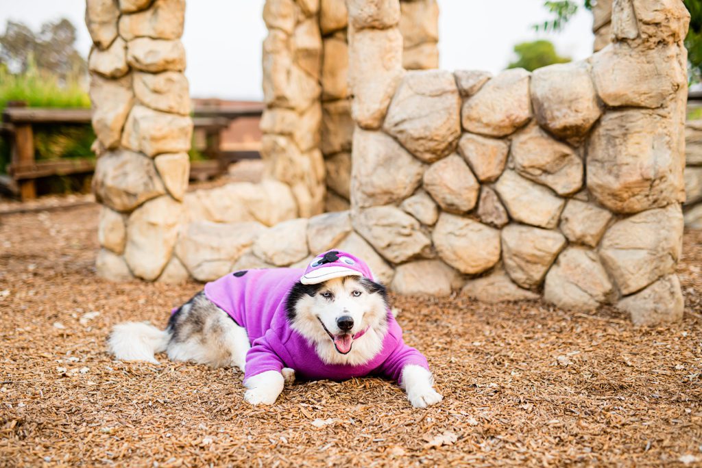 Flintstones Themed Family Portraits