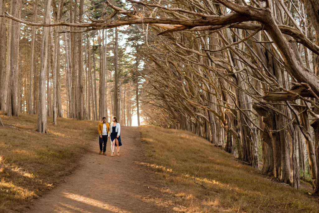 engagement portraits in Halfmoon Bay