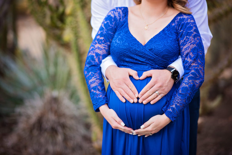 maternity portraits at the arizona cactus garden