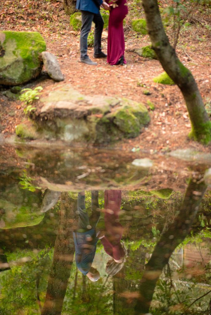 maternity portraits at sanborn park