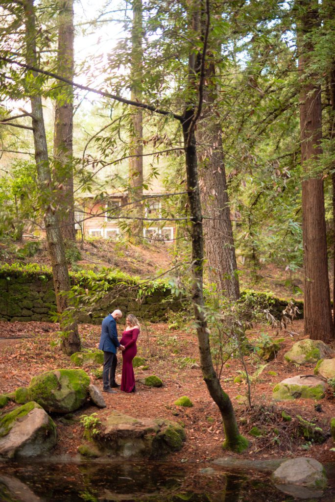 maternity portraits at sanborn park