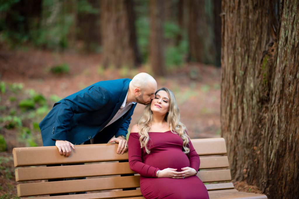 maternity portraits at sanborn park