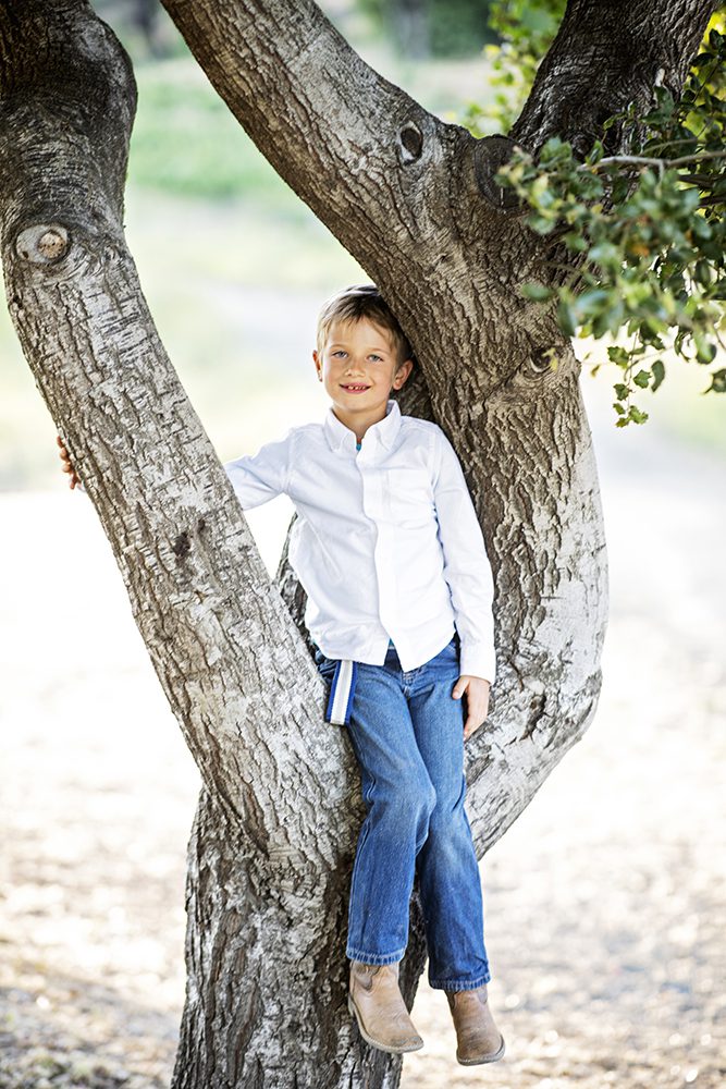 what to do with your family portraits