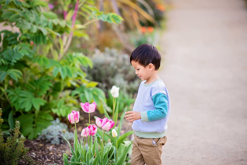 Evening Maternity Portraits at the Elizabeth Gamble Garden