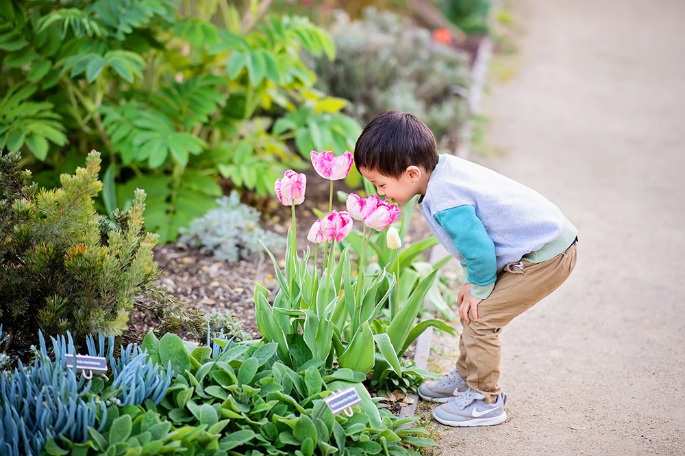 Evening Maternity Portraits at the Elizabeth Gamble Garden