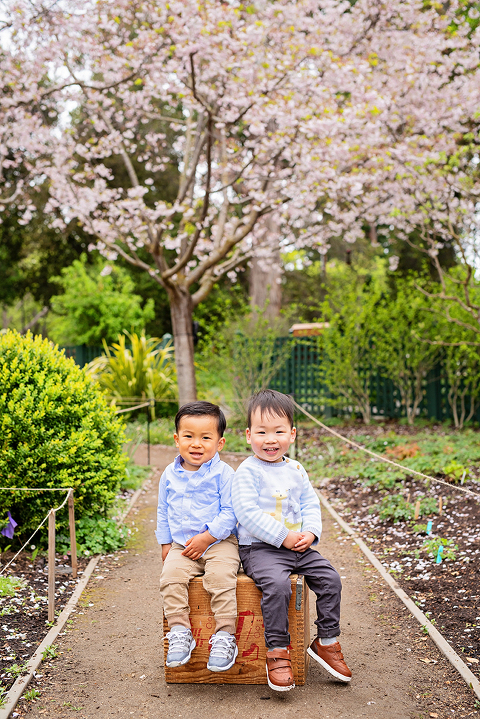 Five Tips For Your First Family Portrait Session