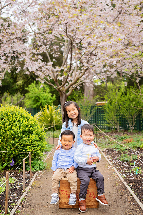 Five Tips For Your First Family Portrait Session