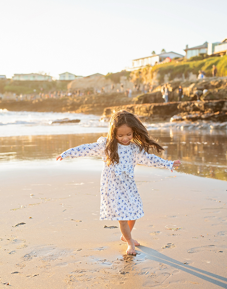 family portraits at Natural Bridges Beach