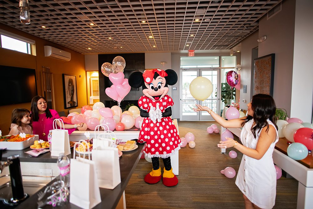 Mini Mouse Themed Birthday Party
