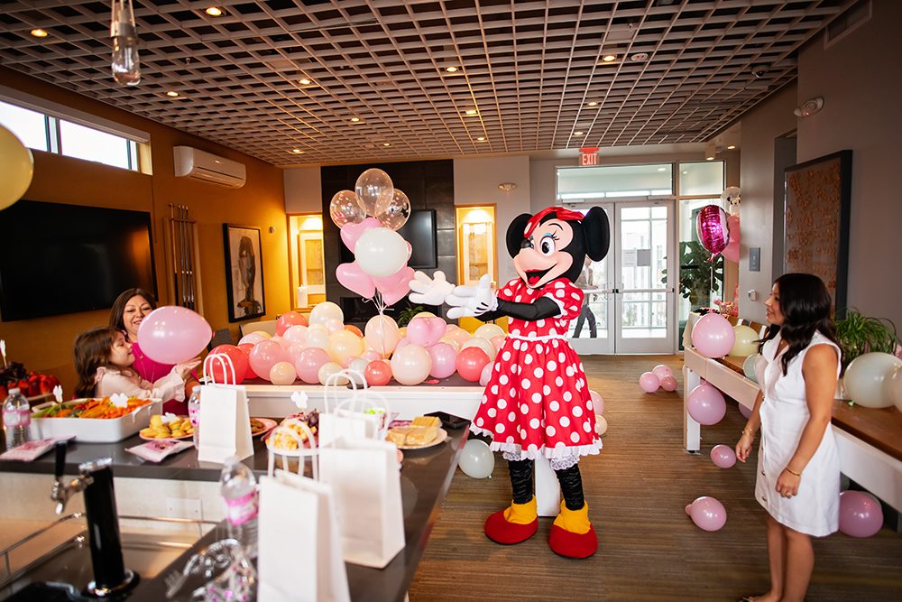 Mini Mouse Themed Birthday Party